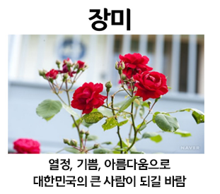 IMG_140751.png